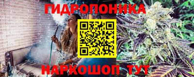 ECSTASY Кунгур