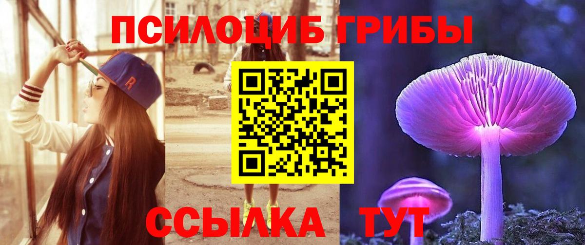 Псилоцибиновые грибы Cubensis  Вход с VPN  Елабуга  Галлюциногенные грибы Magic Shrooms 